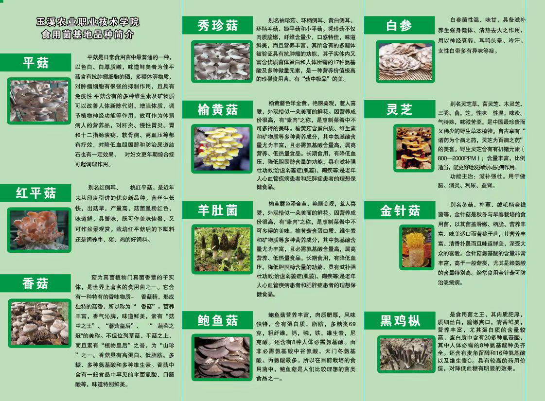 9a75e133fd9653d7093f8702a7f8ea17.png